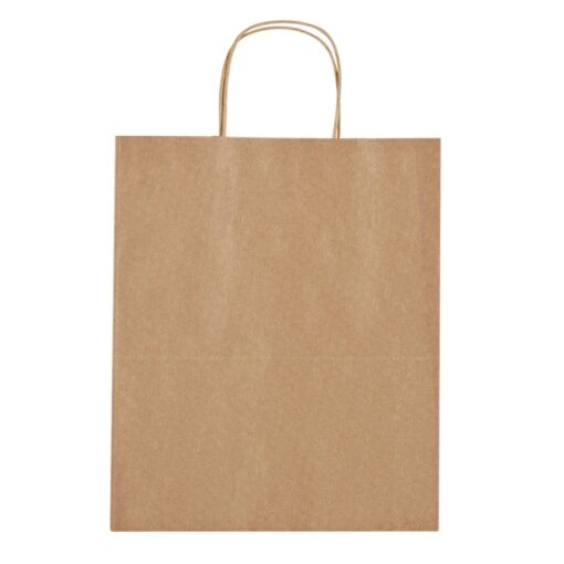 Kraft Paper Brown Shopping Bag - 13" x 17"-3