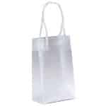 Custom Aries - Frosted Eurotote - Foil Print with logo - 1