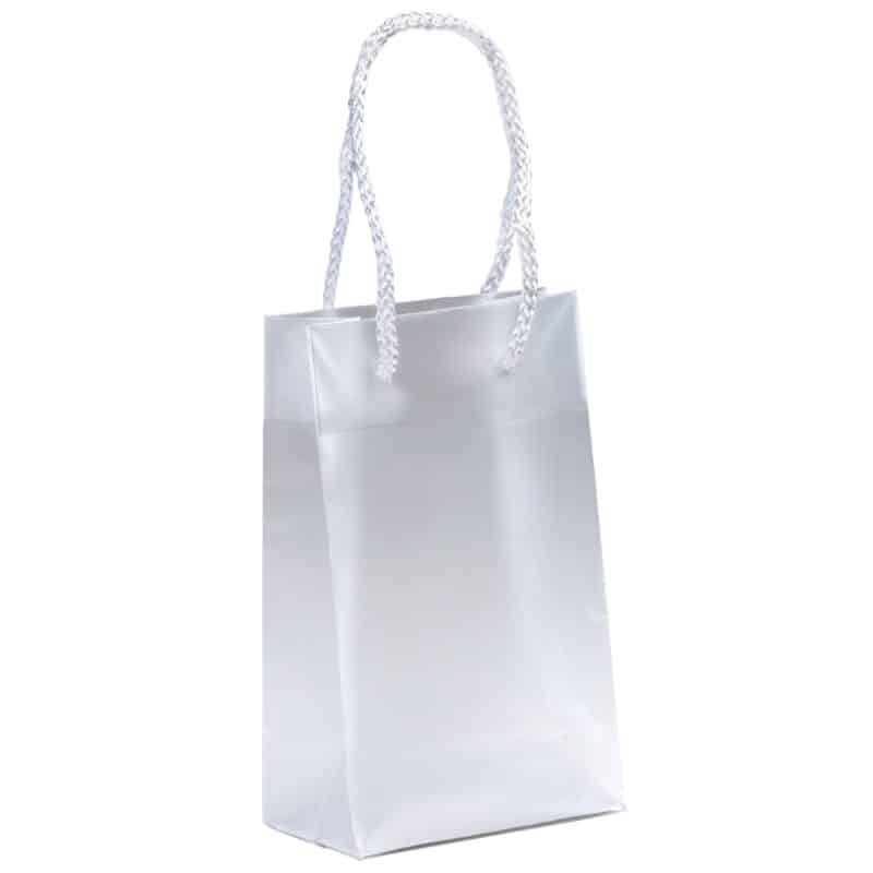 Custom Aries - Frosted Eurotote - Foil Print with logo - 1