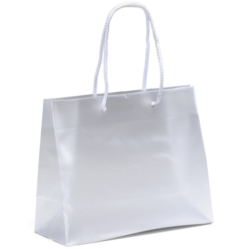 Custom Pisces - Frosted Eurotote - Foil Print with logo - 1