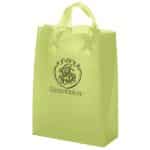 Custom Zeus - Frosted Brite Shopper Bag - Flexo Ink Print with logo - 6